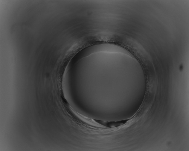 X0000097950031200804011645