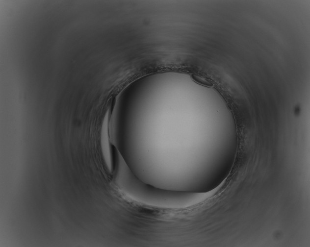 X0000097950033200804011645