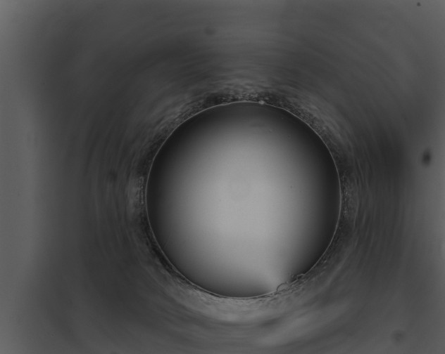 X0000097950034200804011645