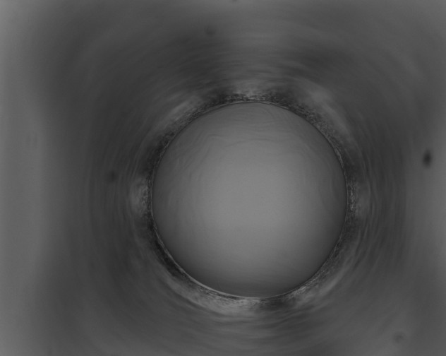 X0000097950036200804011645
