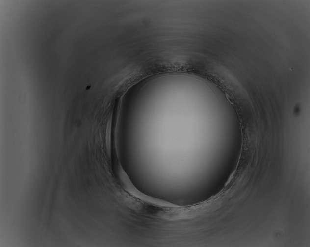 X0000097950037200804011645