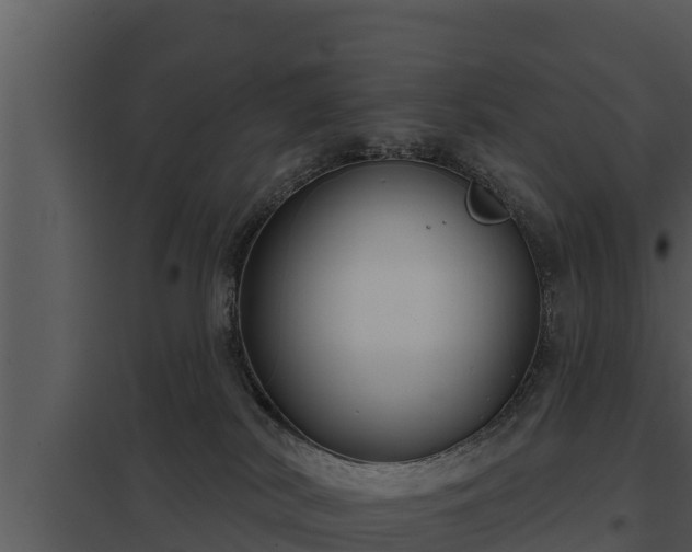 X0000097950038200804011645