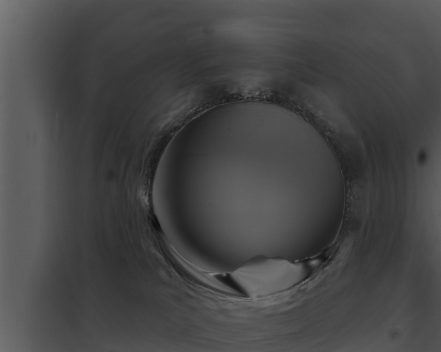 X0000097950039200804011645