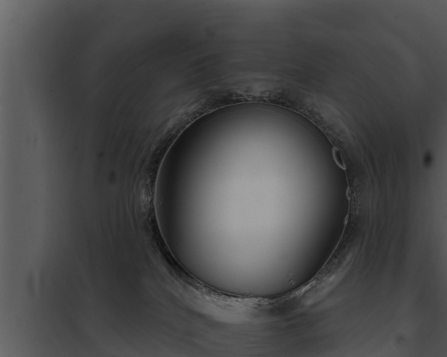 X0000097950040200804011645