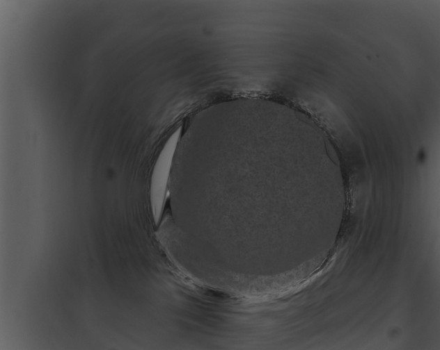 X0000097950041200804011645