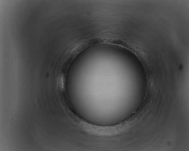 X0000097950042200804011645