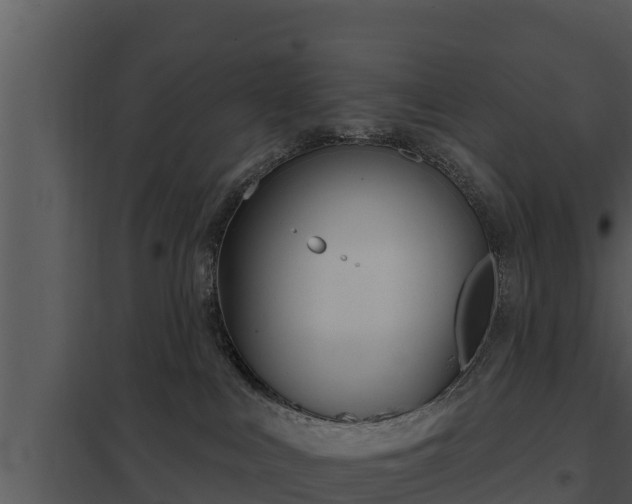 X0000097950043200804011645