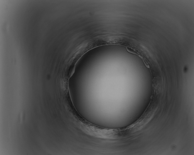 X0000097950044200804011645