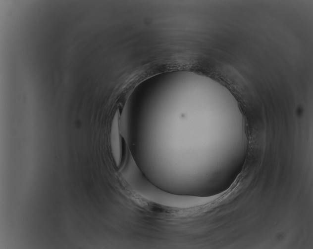 X0000097950045200804011645
