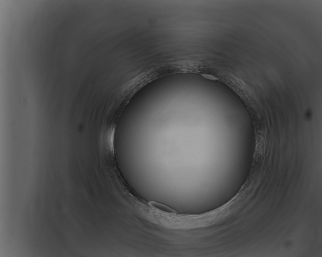 X0000097950047200804011645