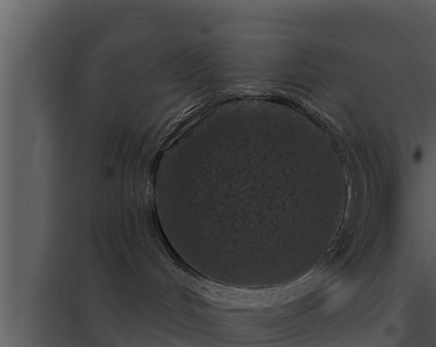 X0000097950048200804011645