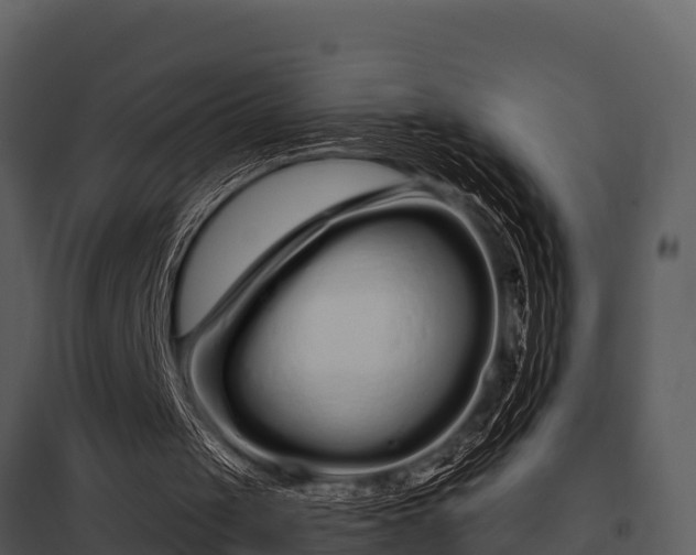 X0000097950049200804011644
