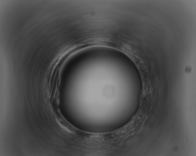X0000097950050200804011644