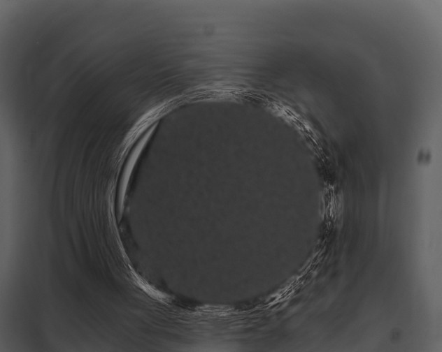 X0000097950051200804011644