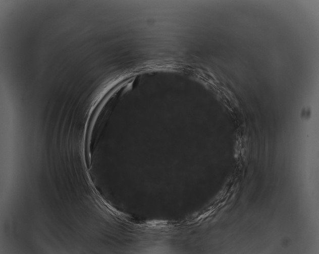 X0000097950052200804011644