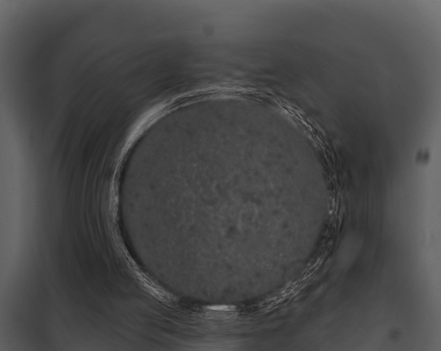 X0000097950053200804011644
