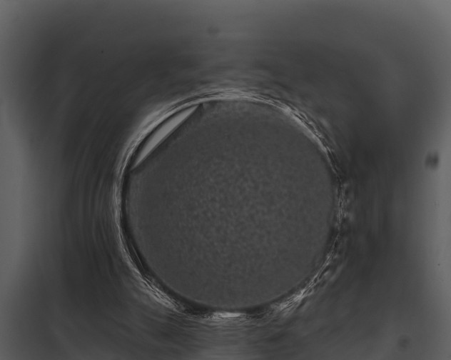 X0000097950055200804011644