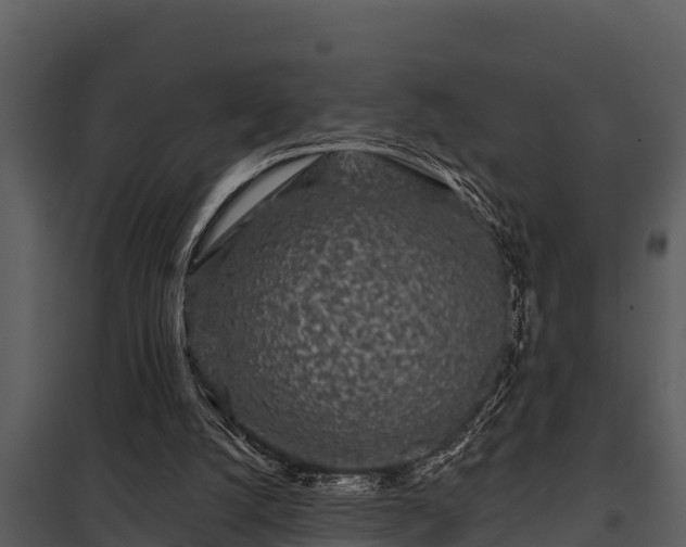 X0000097950056200804011644