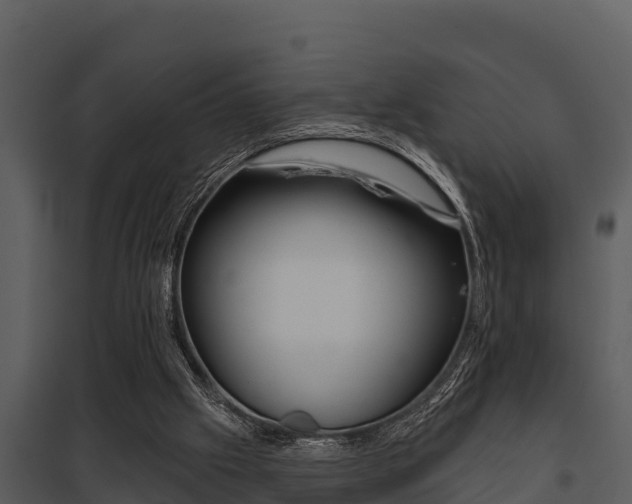 X0000097950057200804011644