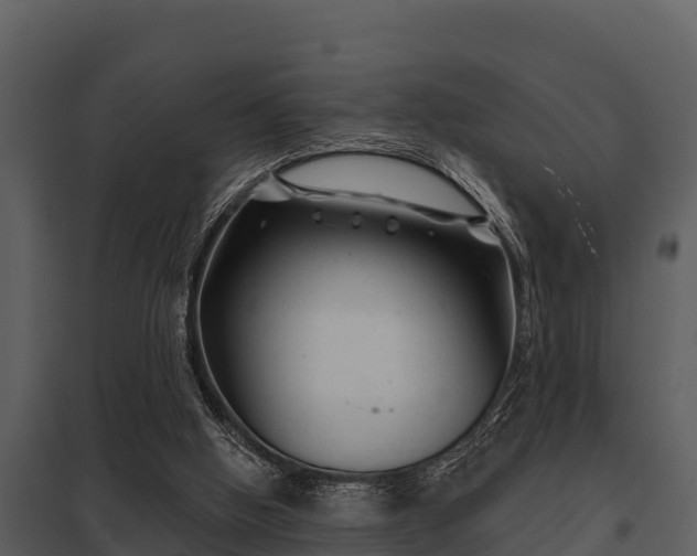 X0000097950058200804011644