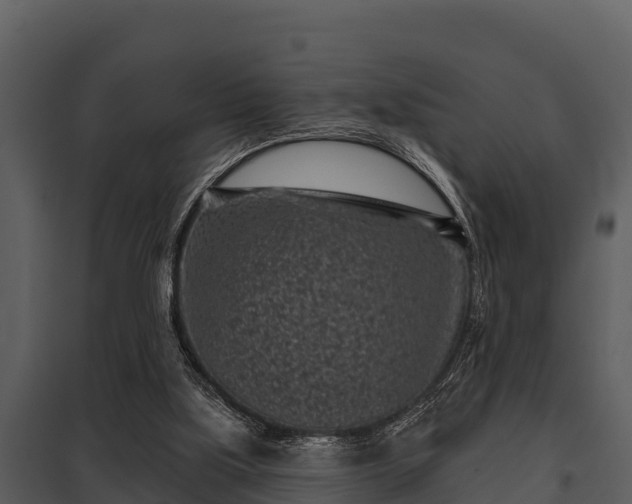 X0000097950059200804011644