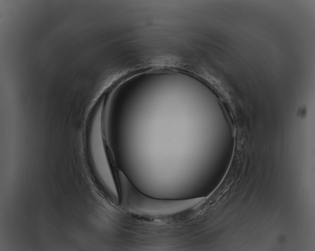 X0000097950060200804011644