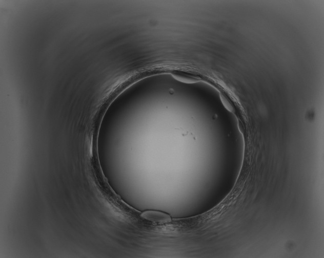 X0000097950062200804011644
