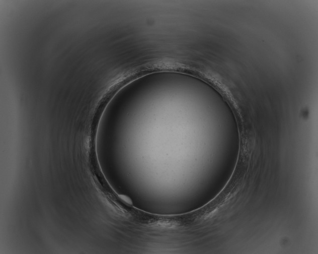 X0000097950063200804011644