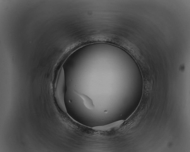 X0000097950064200804011644