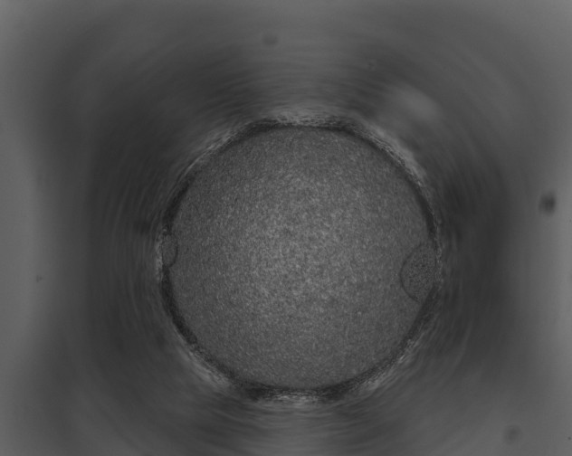 X0000097950065200804011644