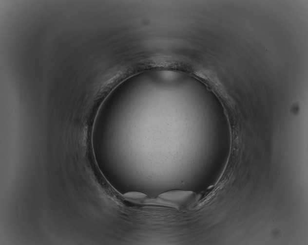 X0000097950066200804011644