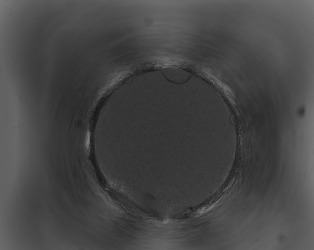 X0000097950067200804011644