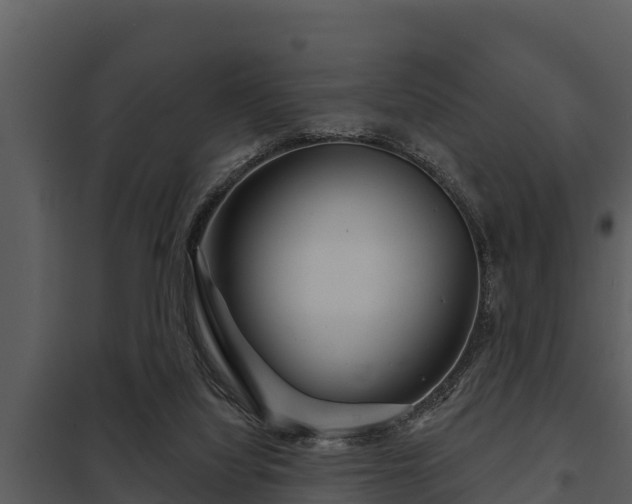 X0000097950068200804011644