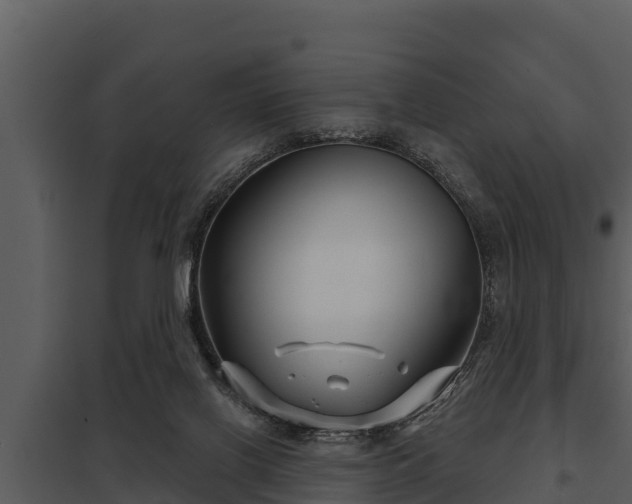 X0000097950070200804011644