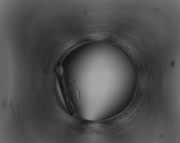 X0000097950071200804011644