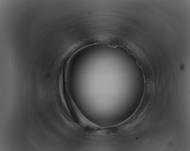 X0000097950072200804011644