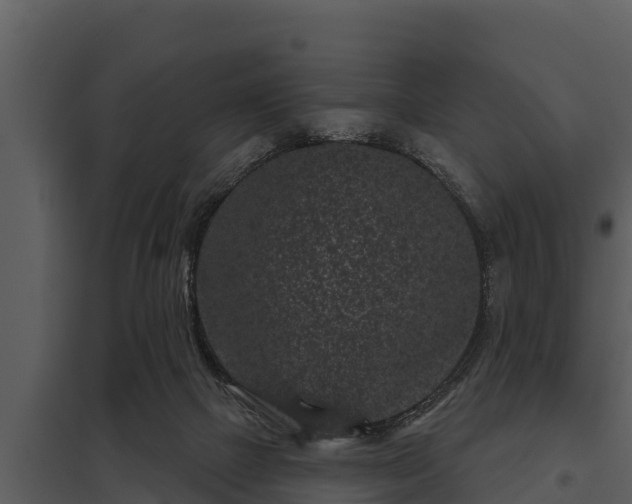 X0000097950073200804011644