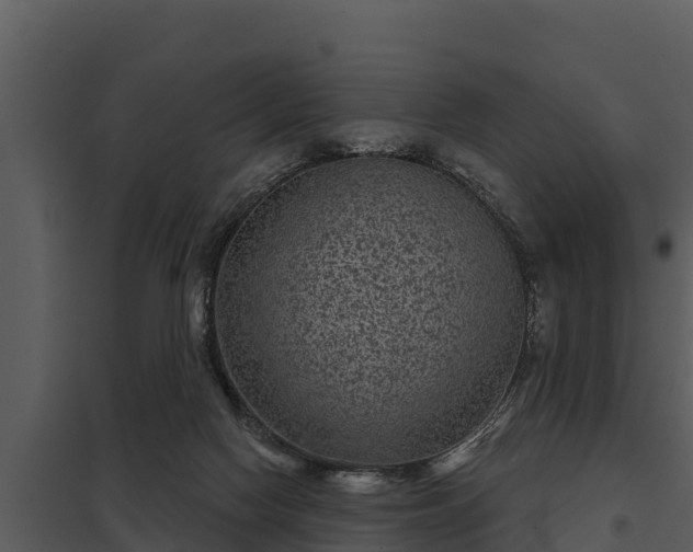 X0000097950074200804011644