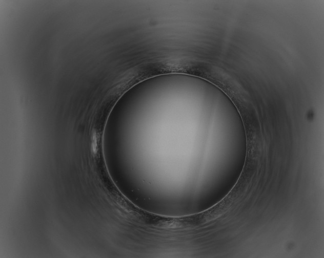 X0000097950075200804011644