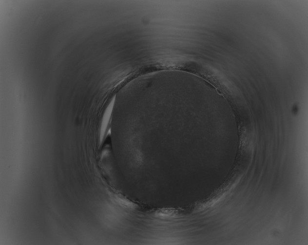 X0000097950076200804011644
