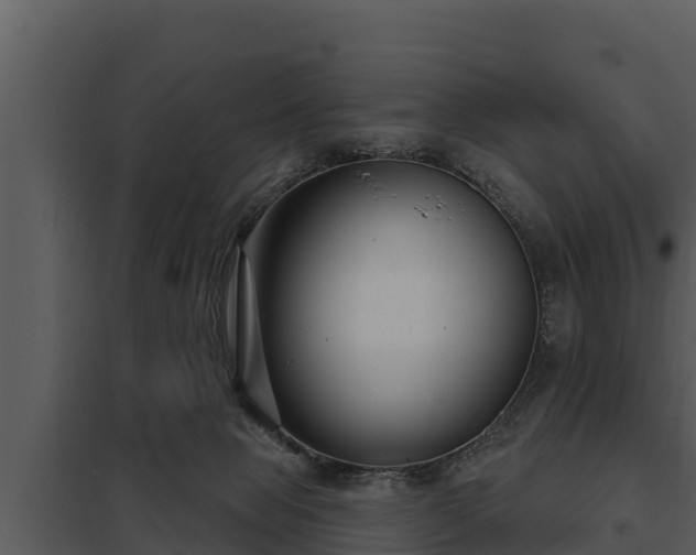 X0000097950077200804011644