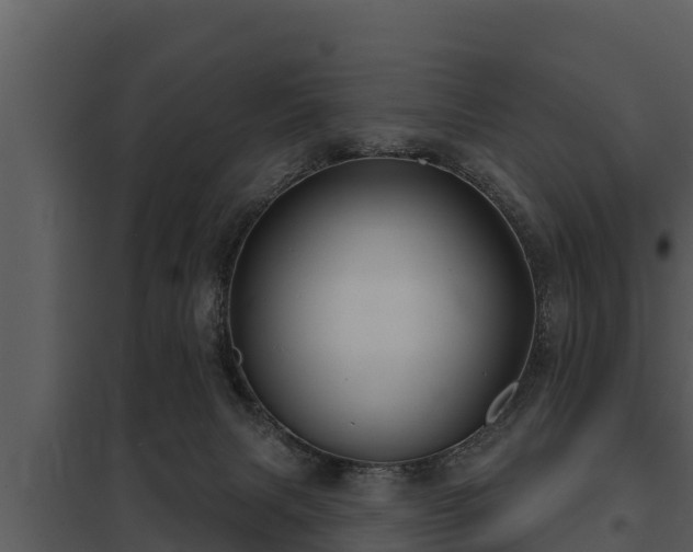 X0000097950079200804011644