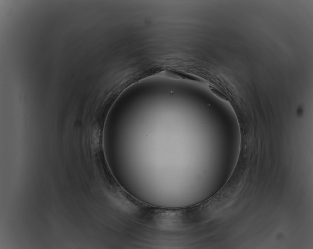 X0000097950081200804011644