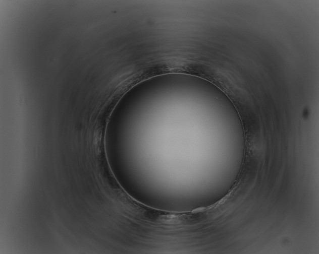 X0000097950082200804011645