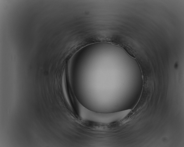 X0000097950084200804011645