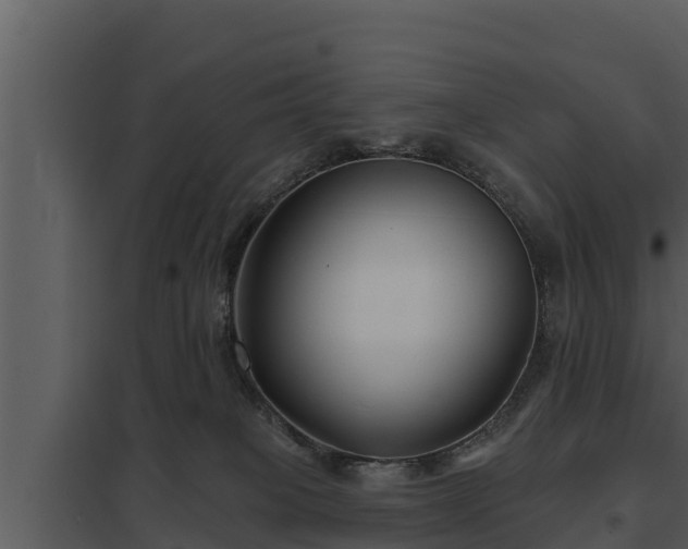 X0000097950085200804011645