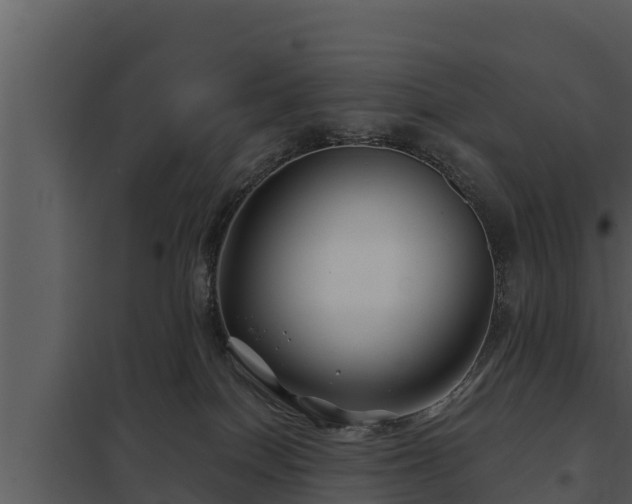 X0000097950086200804011645