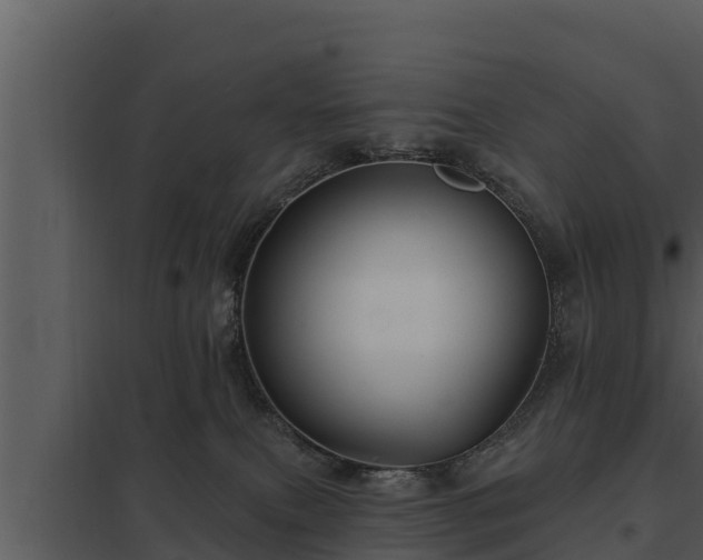 X0000097950087200804011645