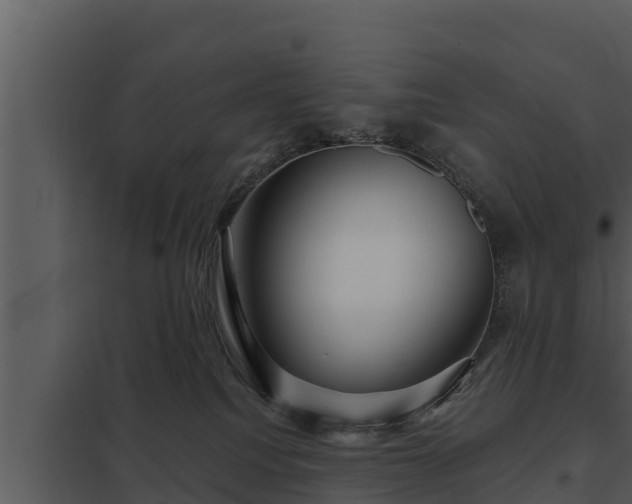 X0000097950088200804011645