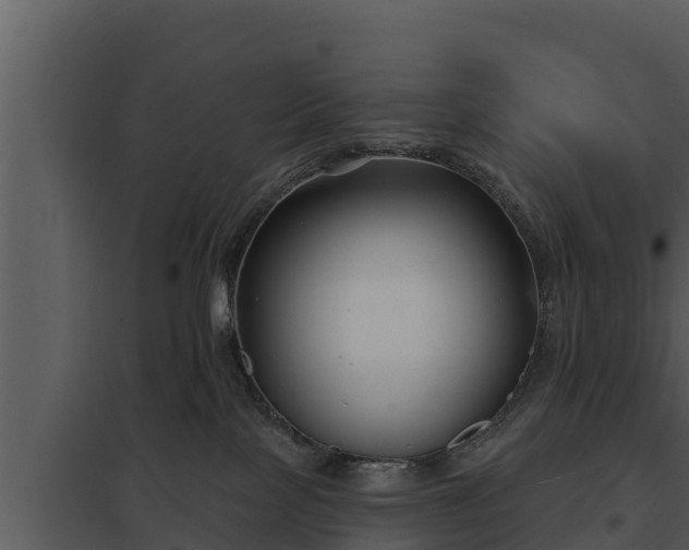 X0000097950089200804011645